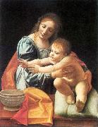 The Virgin and Child fgh BOLTRAFFIO, Giovanni Antonio